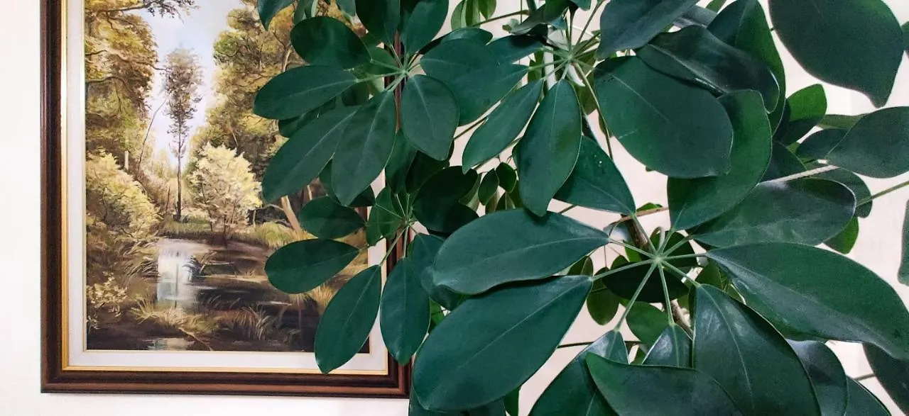 Panzió Garden Boutique B&B Tirana Albánia